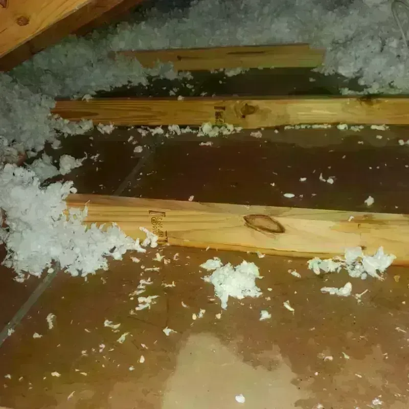 Attic Water Damage in Addison, TX