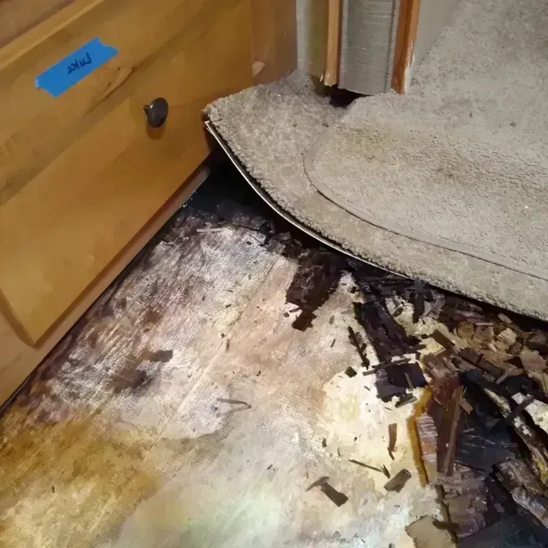 Wood Floor Water Damage in Addison, TX